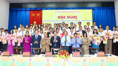 Gia Lai: Phân giao chỉ tiêu phát triển kinh tế - xã hội cho 77 xã, phường khu vực Tây tỉnh