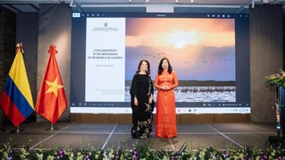 Thứ trưởng Ngoại giao Lê Thị Thu Hằng: Nhiều tiềm năng hợp tác Việt Nam-Colombia chưa được khai thác hết