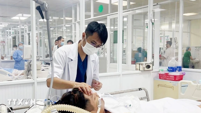 Thành phố Hồ Chí Minh: Cảnh báo số ca sốt xuất huyết tăng mạnh