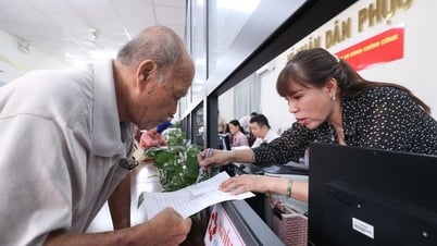 TP HCM: Chấn chỉnh tình trạng "cò làm giấy tờ" tại các Trung tâm Phục vụ hành chính công