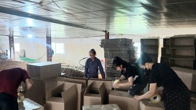 Cầu nối tiêu thụ sản phẩm