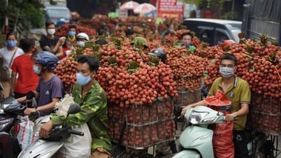 Nhiều quốc gia tăng mua vải thiều Việt Nam