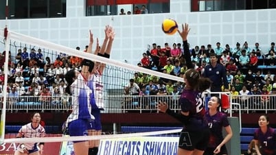 Khai mạc giao lưu bóng chuyền quốc tế Vĩnh Long năm 2025