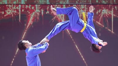 Vovinam Việt Nam biến động ở ghế chủ tịch