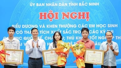 Bắc Ninh thưởng tiền tỉ cho các học sinh đạt huy chương Olympic quốc tế