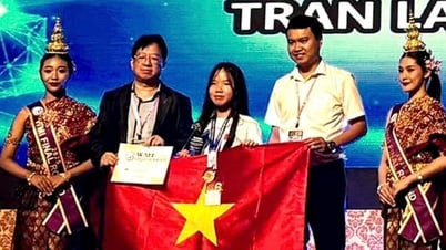 100% học sinh Việt Nam thi toán quốc tế WMI 2025 đoạt giải
