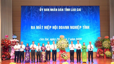 Lào Cai: Gặp mặt các nhà đầu tư, doanh nghiệp trên địa bàn sau sáp nhập