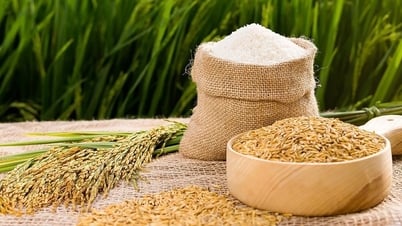 Giá lúa gạo hôm nay 29/7: Gạo nguyên liệu nhích nhẹ