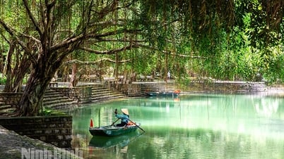 Đi Tràng An coi… rong