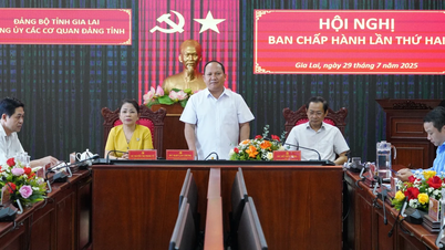 Đại hội Đảng bộ các cơ quan Đảng tỉnh lần thứ nhất dự kiến diễn ra ngày 11 và 12-8