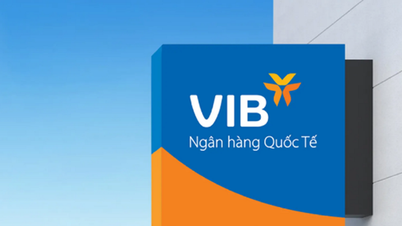VIB: Lợi nhuận 6 tháng hơn 5.000 tỷ đồng, tổng tài sản vượt mốc...
