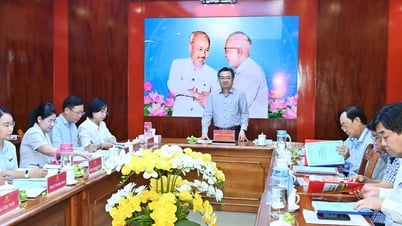 TPHCM lập 19 tổ công tác theo dõi, chỉ đạo đại hội