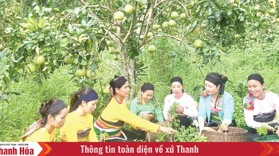 Đưa khoa học kỹ thuật vào sản xuất giúp đồng bào thoát nghèo