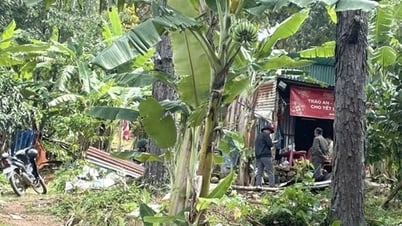 Tìm thấy thi thể bé gái hơn 2 tuổi sau nhiều tuần mất tích