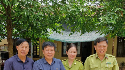Tiếp nhận các cá thể động vật hoang dã để chăm sóc, cứu hộ