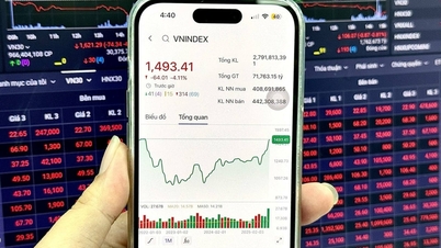 Vì sao chứng khoán giảm 64 điểm?