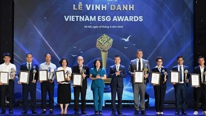 Hội đồng Thẩm định Vietnam ESG Awards 2025 họp chiều 30/7