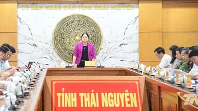 Tạo điểm nhấn văn hóa trà Thái Nguyên tại Triển lãm kỷ niệm 80 năm Quốc khánh