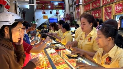 Giá vàng hôm nay 29/7: Giá vàng trong nước cao hơn 12 triệu do vàng thế giới giảm mạnh