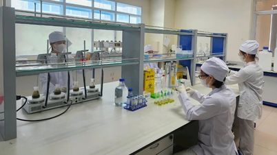 Nâng cao năng lực kiểm nghiệm thuốc