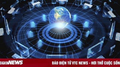 Technology 7/29: Strategic actions on data in digital transformation