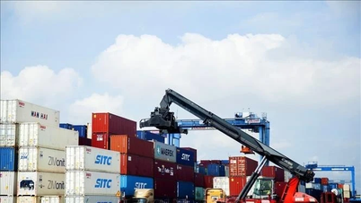 Việt Nam tìm cơ hội xuất khẩu sang châu Phi khi rủi ro gia tăng tại thị trường truyền thống