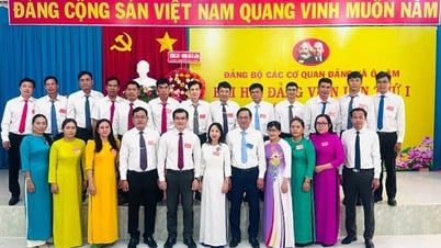 Đại hội Đảng bộ các cơ quan Đảng xã Ô Lâm nhiệm kỳ 2025 - 2030