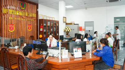 Điểm tựa vững chắc hỗ trợ quỹ tín dụng nhân dân phát triển