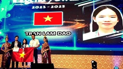 Hai học sinh Việt Nam đoạt huy chương kim cương toán quốc tế WMI 2025