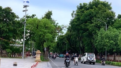 Huế: Tuyến đường kiểu mẫu triển khai trạm BTS tích hợp thân thiện môi trường