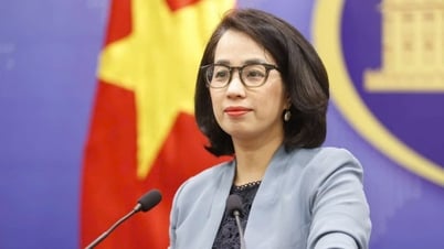 Việt Nam hoan nghênh thỏa thuận ngừng bắn ngay lập tức và vô điều kiện giữa Campuchia và Thái Lan