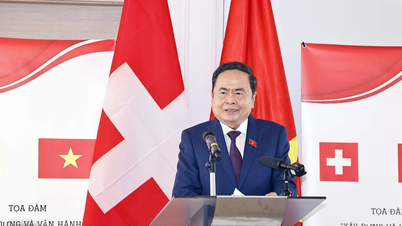 Vietnam coopera con Suiza en el desarrollo de un centro financiero internacional