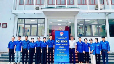 Huy động hơn 1.500 đoàn viên, thanh niên hỗ trợ người dân thực hiện dịch vụ công trực tuyến