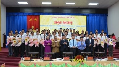 Gia Lai: Giao chỉ tiêu phân kỳ thực hiện từng tháng cho...