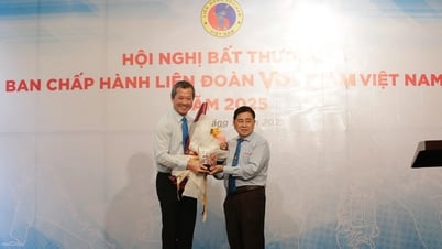 Doanh nhân Mai Hữu Tín thôi giữ chức Chủ tịch Liên đoàn Vovinam Việt Nam