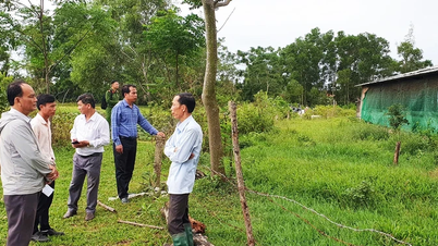 Xã Cửa Việt: Kiểm tra tình hình chăn nuôi lợn trên địa bàn