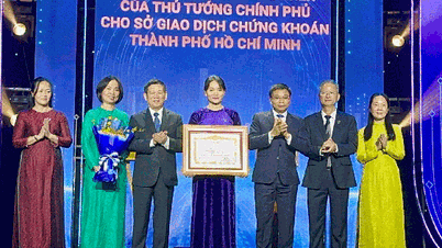 Bước tiến vượt bậc của chứng khoán Việt Nam 25 năm phát triển