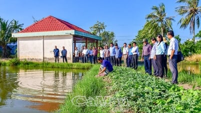 "Vị ngọt" từ sự đổi thay
