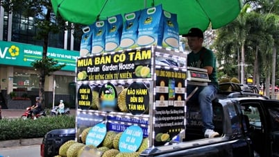 Đặt quy tắc kỳ quặc, xe bán sầu riêng ở TPHCM đắt khách từ chiều tối đến đêm