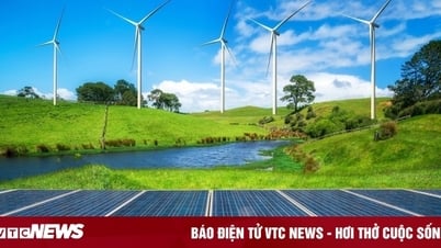 Nhu cầu điện tăng 10% mỗi năm, Việt Nam cần phát triển ngay năng lượng mới
