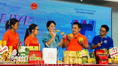 Ngành Thuế tỉnh:Tăng số thu từ hoạt động thương mại điện tử
