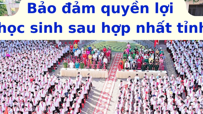 Ensuring student rights after provincial merger