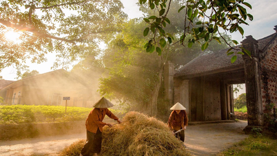 Top 5 ngôi làng cổ Hà Nội nổi tiếng - Khám phá nét cổ xưa đầy hoài niệm