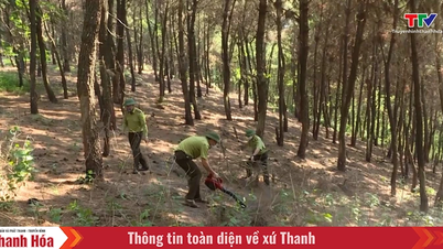 Dự báo và thông tin cấp dự báo cháy rừng từ ngày 30/7 - 3/8/2025