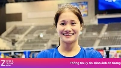 Việt Nam có VĐV nào tranh tài ở giải vô địch bơi lội thế giới 2025?