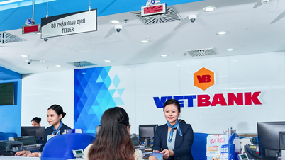 Thanh tra phát hiện hàng loạt sai phạm tại VietBank Long An
