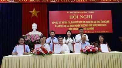 Hợp tác, kết nối đào tạo nghề và thu hút lao động tỉnh Yên Bái đi làm việc tại các doanh nghiệp thuộc khu công nghiệp, khu kinh tế trên địa bàn thành phố Hải Phòng