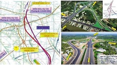 Hai phương án đầu tư cầu Cần Thơ 2