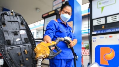 Giá xăng dầu hôm nay 29/7: Dầu thô bật tăng mạnh