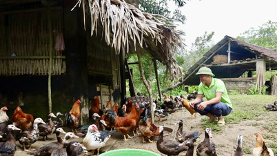 Phát triển nông sản bản địa, hướng đi mới ở Sơn Lương